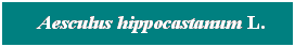 Cuadro de texto: &nbsp; Aesculus hippocastanum L.
