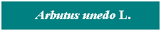 Cuadro de texto: &nbsp; Arbutus unedo L.
