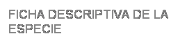 Cuadro de texto: FICHA DESCRIPTIVA DE LA ESPECIE
