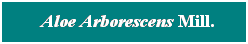 Cuadro de texto: &nbsp; Aloe Arborescens Mill.
