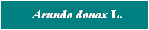 Cuadro de texto: &nbsp; Arundo donax L.
